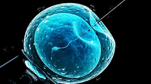 广州传承助孕中心咋样[供卵试管选性别],为什么染色体异常要做第三代试管婴儿