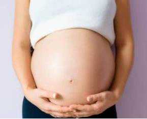 新时代助孕[供卵代怀公司],试管婴儿胚胎等级与成功率有何关系？