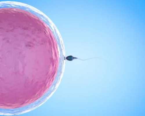 西安供卵中介合法吗 西安交通大学第二附属医院推荐理由 ‘孕妇胎囊形状看男