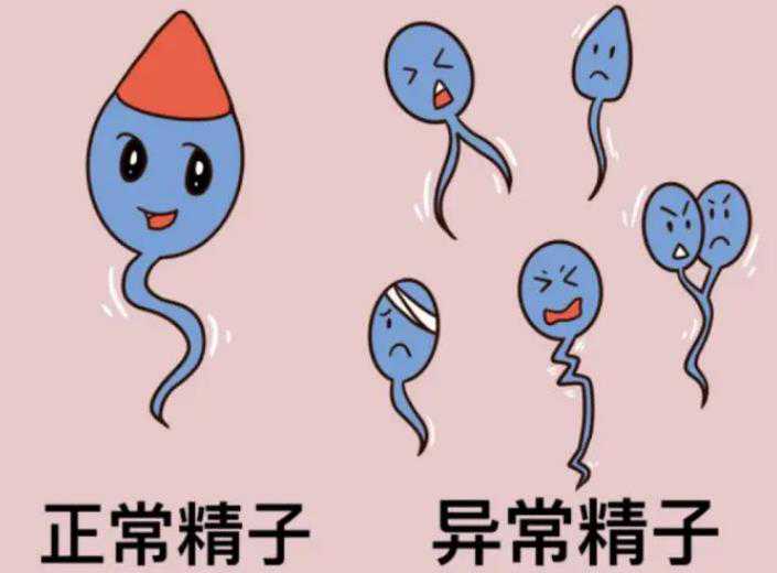 不孕不育科[广州世纪助孕公司官网],关于广州助孕机构排名，广州武汉三代试管