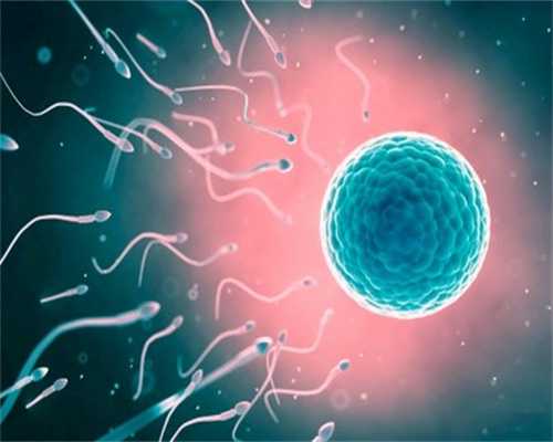 西安不育做试管,试管婴儿成功率并不是百分百_西安试管供卵要多少钱_月经结束