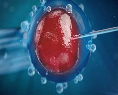 十月宝贝官网[接受供卵条件],石家庄供卵可靠吗：石家庄试管供卵机构