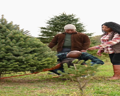 西安三代供卵自怀,试管婴儿和普通孩子有区别吗？试管婴儿医院北京哪家好_西