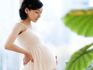 做供卵代怀借卵子,阳泉三代供卵代怀助孕生孩子费用要多少钱