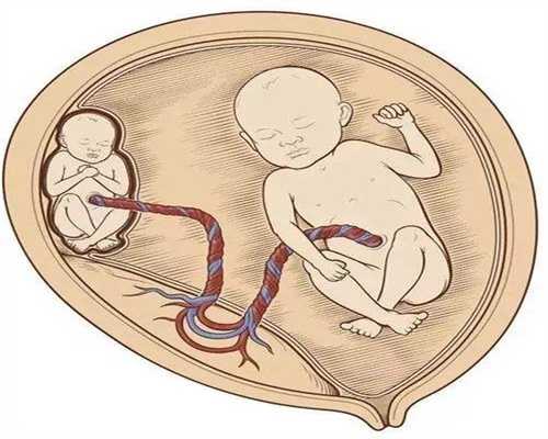 1湖南省妇幼专家告诉你哪类人不能做试管婴儿