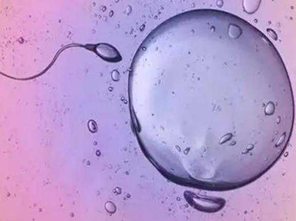2022郑州大学第三附属医院申请供卵试管婴儿的流程是怎样的？附供卵试管流程